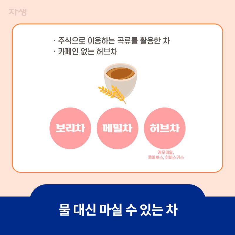 물 대신 마실 수 있는 보리차, 메밀차, 허브차 이미지