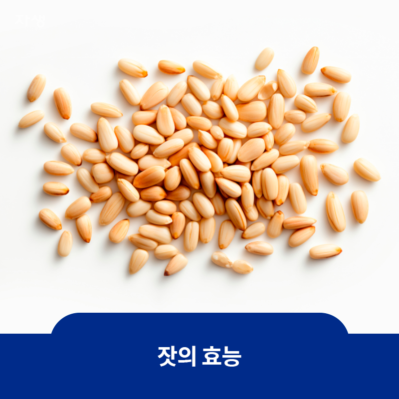 많은 양의 잣이 놓여있는 이미지