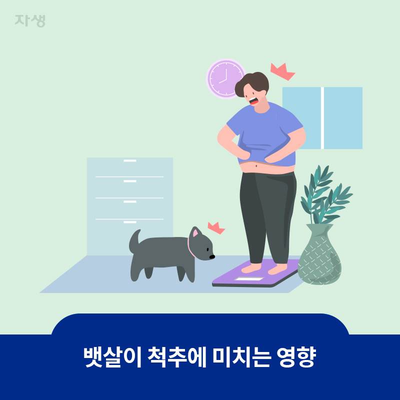 참고 이미지 : 뱃살이 척추에 미치는 영향 | 자생한방병원·자생의료재단