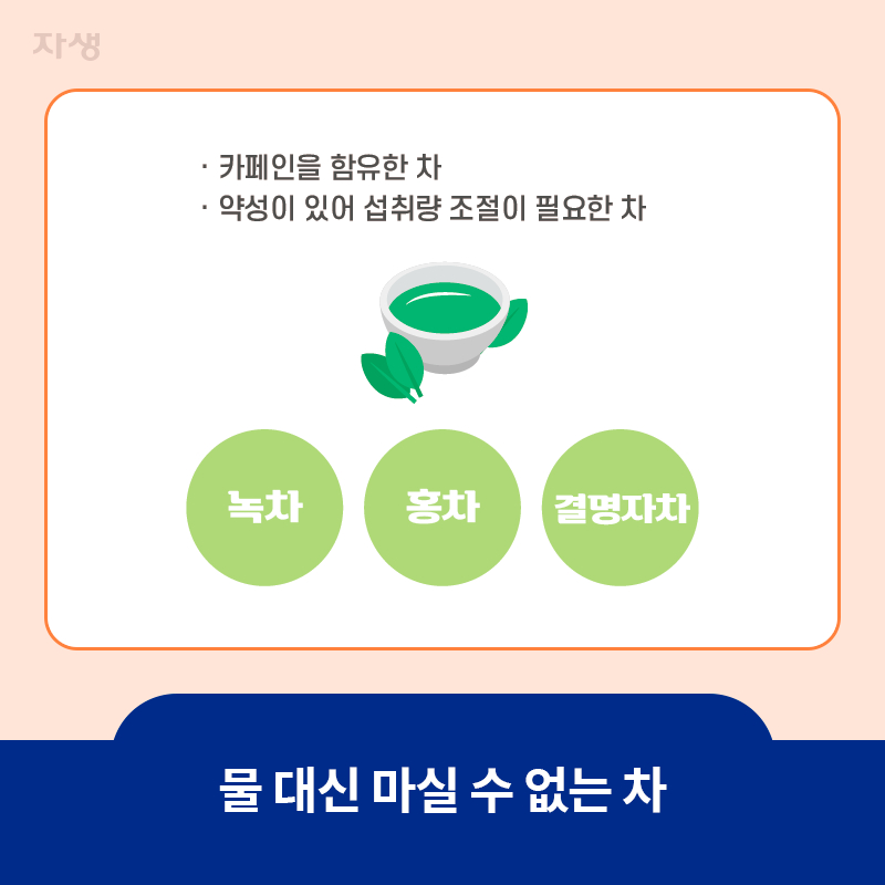 물 대신 마실 수 없는 녹차, 홍차, 결명자차 이미지