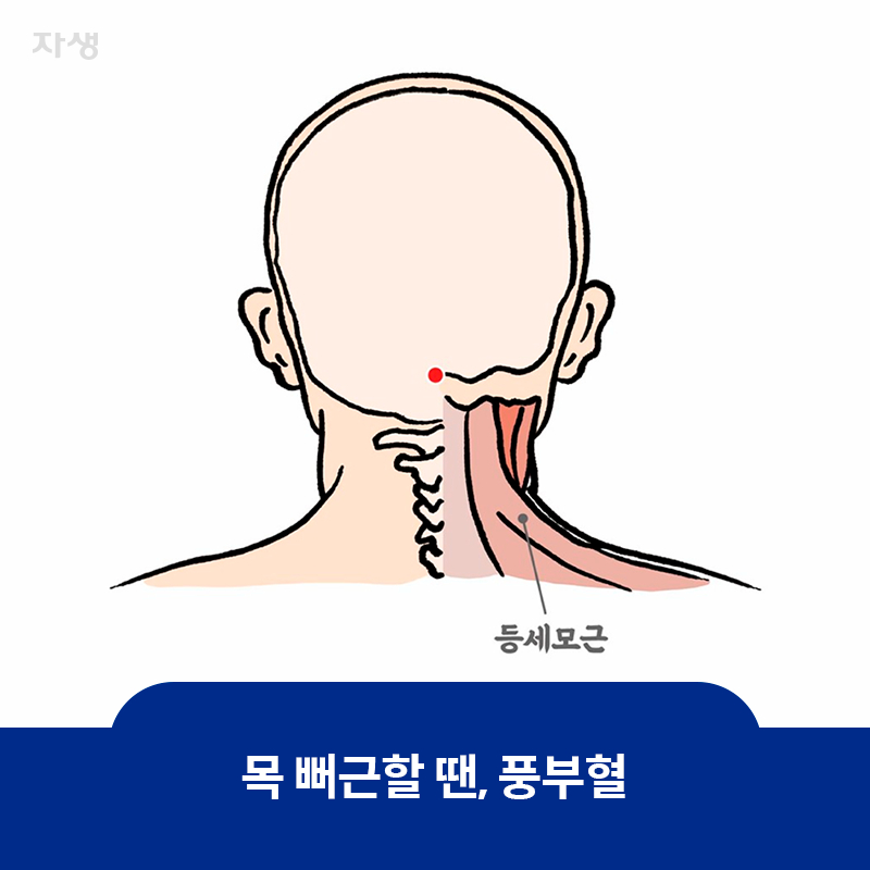 목 뻐근할 때 지압하면 좋은 풍부혈 자리 표시