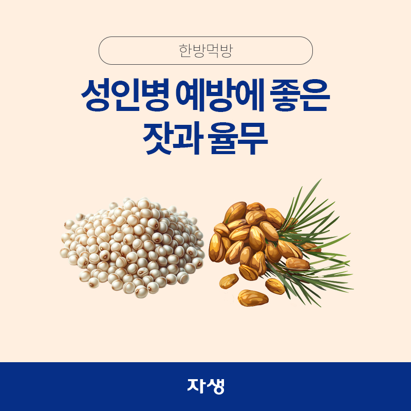 잣과 율무 이미지