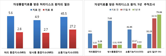 2013 미국통증의학회(APS)가 인정한 자생의 허리디스크 비수술 치료 효과 그래프